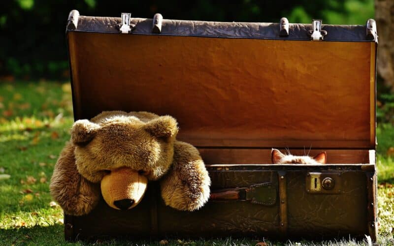 suitcase, antique, teddy, cat, hidden, stuffed animal, toy, fun, curious, pet, leather, animal, old suitcase, junk, generations, suitcase, suitcase, suitcase, suitcase, suitcase, cat, hidden, hidden, hidden, junk